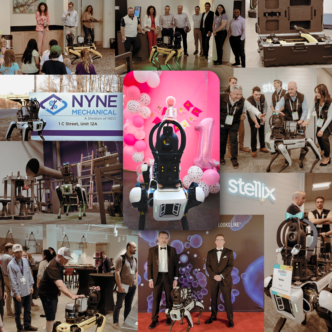 Why Stella? Why Stella?