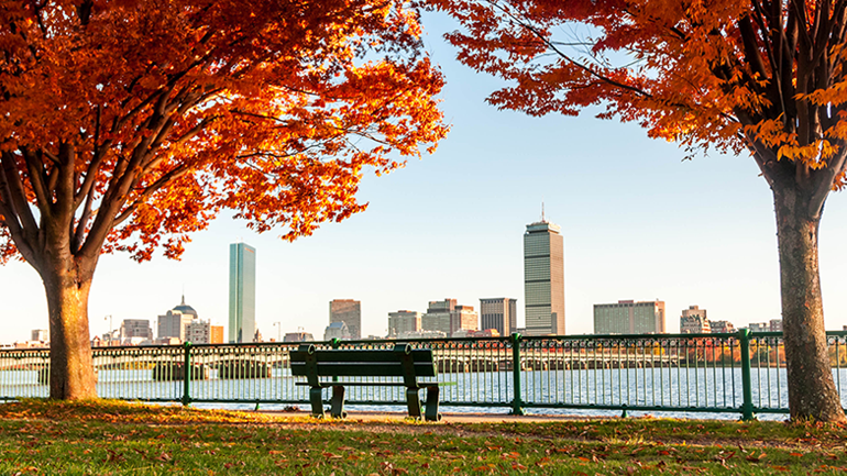 A Love Letter to the Boston Life Sciences Community Image