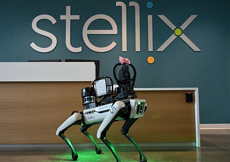 Meet Stella Stellix uses a robot dog, "Stella" to evangelize innovation using Industry 4.0 technologies with employees and customers.